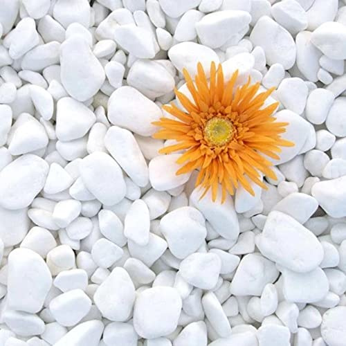 Stones Garden Kieselstein Thasos White 10-20mm 20 kg Gartenstein Kies Harz Dekostein