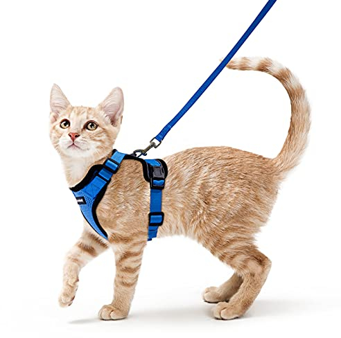 rabbitgoo Katzengeschirr mit Leine Softgeschirr für Katze Brustgeschirr Cat Harness Katzengarnitur ausbruchsicher verstellbar Katzenweste Blau XS