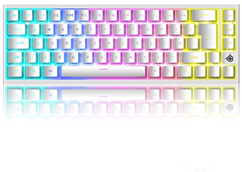 LexonElec Wried 60% Mechanical Gaming Keyboard, RGB Backlit Ultra-Compact TKL, Red Switch 68 Key Type-C Cable Water-Resistant for PC Mac Gamer (White)