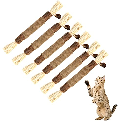 tao Pipe 6 Stück Katzenminze Sticks, Katzen Sticks Catnip Kausticks Interaktives Katzenspielzeug, Katzen Kauhölzer Silvervine Sticks zur Katzen Zahnpflege und Gegen Mundgeruch