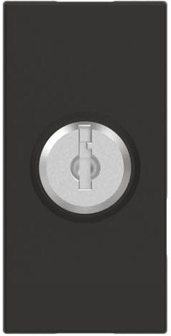 Interruttore a chiave BTICINO RG4022 Classia1 modulo Dark