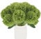 Hananona Künstliche Chrysanthemen, Kugelblumen, künstliche Mütter, grüne Seidenblumen für Heimdekoration, Inneneinrichtung, St. Patrick's Day, Tischdekoration (12, Grün)