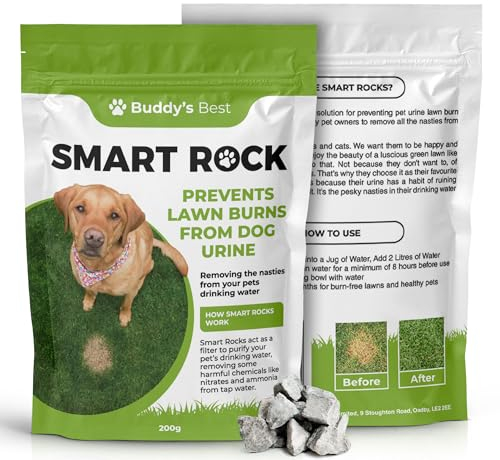 Buddy's Best 200g Smart Rocks: Natural Pet Water Enhancer & Lawn Saver, Mineral-Based Solution for Dogs, Reduces Nitrates & Ammonia, Supports Hydration & Healthy Green Grass