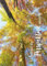 Gutsch Verlag Postkarte für Naturliebhaber mit herbstlichem Waldmotiv und inspirierendem Spruch Einfach mal die Perspektive wechseln - Perfekt für Freunde und Familie.