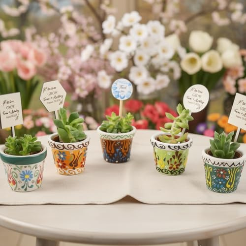 Giftupstore Bomboniera per gli ospiti, 16 set di vasi per piante grasse con etichette in legno, elegante bomboniera di ritorno, vasi in ceramica