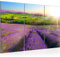 Runa Art Wandbilder Provance Landschaft Bild XXL Schlafzimmer Wohnzimmer Lila Lavendel Natur 120 x 80 cm 3 Teilig 610731b