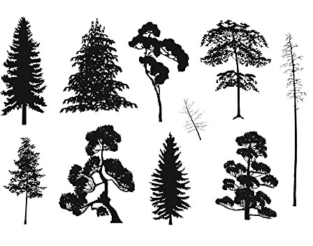10pcs Forest Pine Tree Clear Stamps Silicone Stamp Cards Tree Pattern Transparent Seal Stamps for Holiday Card Making Decoration and DIY Scrapbooking Album DIY Crafts