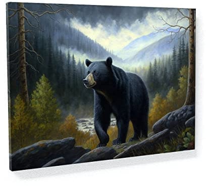 Sense Canvas Kunstdruck auf Leinwand, Bär, Schwarzwald 52, Heimdekoration, Wandkunstdruck, Poster, Gemälde, klein, 40,6 x 30,5 cm, 1,9 cm