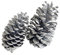 Blausky 12 Stück Weihnachten Tannenzapfen,Natur Pinienzapfen Anzapfen Kiefernzapfen Dekoration Kiefernzapfen Thanksgiving Ornamente,für Party Advents DIY Handwerk Weihnachtsbaum,9–12 cm,Silber A