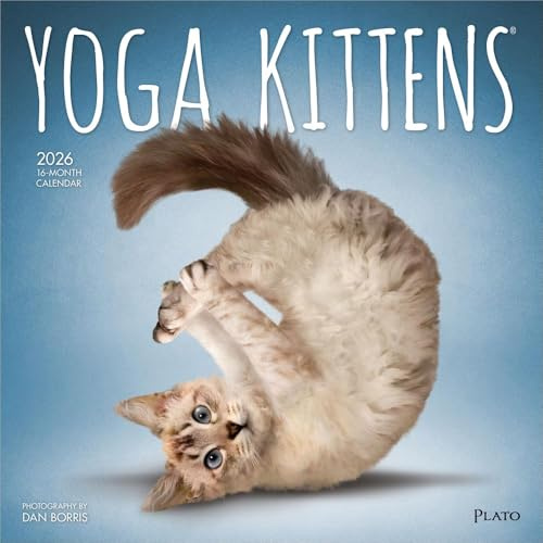 Yoga Kittens – Kätzchen Yoga 2026 – 16-Monatskalender: Original BrownTrout-Kalender [Mehrsprachig] [Kalender] (Wall-Kalender)
