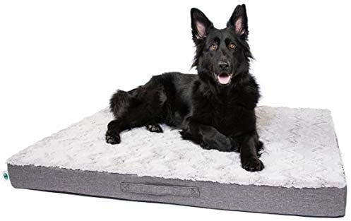 CopcoPet - Hundematte Lucky Hundematratze orthopädisch, rutschfest und waschbar, Hundebett kuschelig aus flauschigem Plüsch Fellimitat-Stoff Hundekissen Schlafplatz 80 x 60 x 10 cm Beige