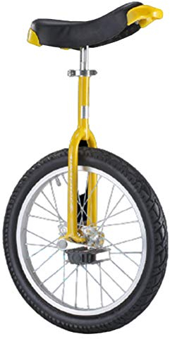 Einrad für Erwachsene mit 20 Zoll / 24 Zoll Rad - Alte Personen / Für schwere Lasten (bis zu 150 kg), selbstbalancierendes Fahrrad für große Kinder 16''/18'' - Einfach zu montieren