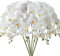 FagusHome 6 Pièces Fleur Artificiel Phalaenopsis Orchidée 80cm Artificielle Orchidée artificielles de Phalaenopsis pour Décoration (6 Pièces)