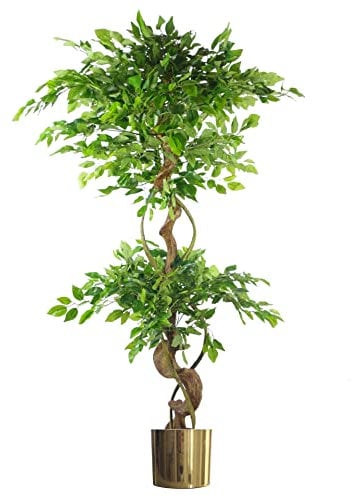 Leaf Realistic Artificial Japanese Fruticosa Ficus Tree, Twisted Large Gold, 150cm (5ft)
