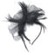DIYBravo Fascinator Hut Feder 1920 Mesh für Damen, Haarschmuck mit Haarclip für Party Tee Bankett Hochzeit, Fasching Kostüm Haar Accessoires