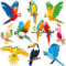 10Pcs Tropical Birds Honeycomb Cutouts Hanging Decorations for Aloha Hawaiian Luau, Tiki Jungle Theme Party Supplies
