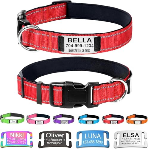 Custom Nylon Dog Collar with Engraved Name Plate, S, Red | Engraved name, phone & address; reflective stitching, soft neoprene padding, adjustable for small, medium & large dogs