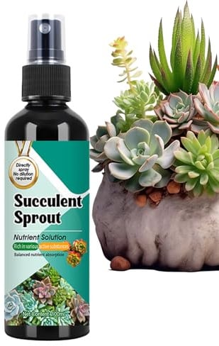 Xijobido Fertilizzante Succo Di Cactus, Nutriente Per Tillandsia, Spray 100ml A Rilascio Lento Per Crescita Propagazione Piante D'Appartamento Giardinaggio Indoor