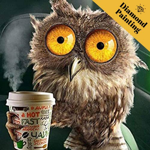 Der Hobby Planet Diamond Painting Eule Quadratisch 30x40cm - DIY Diamond Painting Erwachsene, Diamond Painting Kits (MP22)