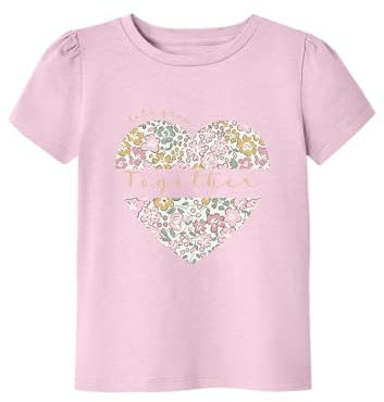 Name IT Mädchen Nmfhnanna Ss Top, Ballerina, 110 EU