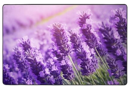 bnmklda Schmutzfangmatte mit violettem Lavendel, 100 x 150 cm, rutschfest, maschinenwaschbar, Eingangsbereich für Wohnzimmer, Schlafzimmer, Büro und Balkon
