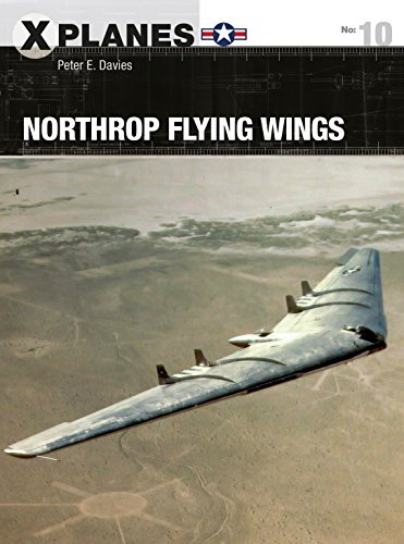 Northrop Flying Wings: 10 (X-Planes)