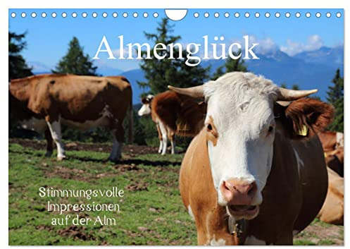 Almenglück (Wandkalender 2026 DIN A4 quer), CALVENDO Monatskalender: Stimmungsvolle Impressionen auf der Alm (CALVENDO Natur)