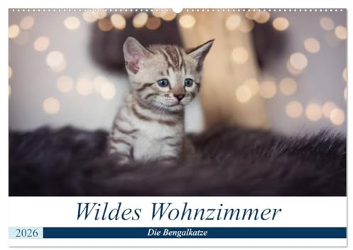 Wildes Wohnzimmer - Die Bengalkatze (Wandkalender 2026 DIN A2 quer), CALVENDO Monatskalender: Eine wilde Optik, Temperament, Lernwille und ... die Bengalkatze aus. (CALVENDO Tiere)