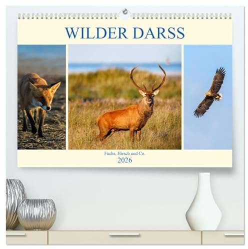 Wilder Darß - Fuchs, Hirsch und Co. 2026 (hochwertiger Premium Wandkalender 2026 DIN A2 quer), Kunstdruck in Hochglanz: Faszinierende Bilder der wilden Tiere vom Darß (CALVENDO Tiere)