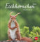 Eichhörnchen Postkartenkalender 2025: Dekorativer Monats-Tischkalender zum Aufstellen oder Aufhängen. Fotokalender voll niedlicher Eichhörnchenbilder, ... und Verschicken. (Postkartenkalender Heye)