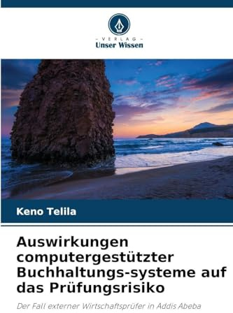 Auswirkungen computergestützter Buchhaltungs-systeme auf das Prüfungsrisiko: Der Fall externer Wirtschaftsprüfer in Addis Abeba