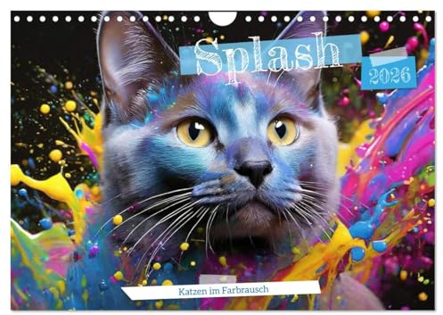 Splash - Katzen im Farbrausch (Wandkalender 2026 DIN A4 quer), CALVENDO Monatskalender: Splish Splash Katzenbad (CALVENDO Tiere)