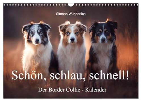 Schön, schlau, schnell! - Der Border Collie - Kalender (Wandkalender 2026 DIN A3 quer), CALVENDO Monatskalender: Border Collies: Geniale Pfoten und kluge Köpfe! (CALVENDO Tiere)