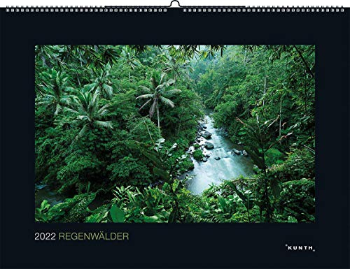 Regenwälder 2022: Kalender 2020