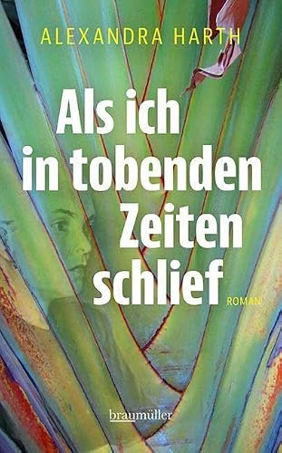 Als ich in tobenden Zeiten schlief