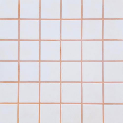 Fugenmörtel-Farben | TERRACOTTA | 1kg | Einsetzbar für Fugen im Innen- und Außenbereich auf Wand- und Bodenflächen