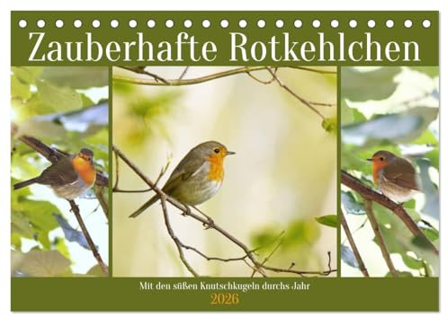 Zauberhafte Rotkehlchen (Tischkalender 2026 DIN A5 quer), CALVENDO Monatskalender: Mit den süßen Knutschkugeln durchs Jahr (CALVENDO Tiere)