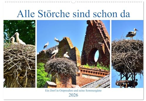 Alle Störche sind schon da - Ein Dorf in Ostpreußen und seine Sommergäste (Wandkalender 2026 DIN A2 quer), CALVENDO Monatskalender: Störche und Storchennester im früheren Kraupischken (CALVENDO Tiere)