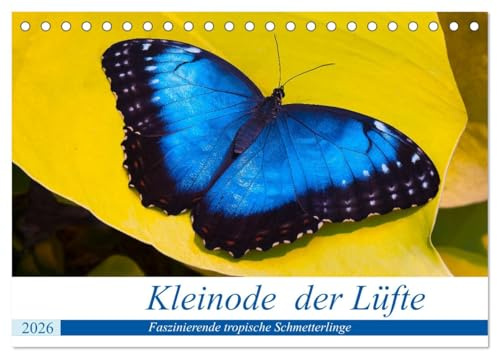 Kleinode der Lüfte - Faszinierende tropische Schmetterlinge (Tischkalender 2026 DIN A5 quer), CALVENDO Monatskalender: Tropische Schmetterlinge ... schwerer zu fotografieren. (CALVENDO Tiere)