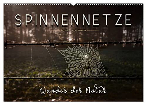 Spinnennetze - Wunder der Natur (Wandkalender 2026 DIN A2 quer), CALVENDO Monatskalender: Technische Meisterleistungen der Spinnen in ausdruckstarken Bildern. (CALVENDO Tiere)