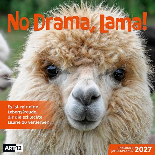 No Drama, Lama Broschürenkalender 2027 - 30x30 - Art12 | Humorvoller Tier-Kalender im schlanken Hochformat (aufgeklappt 30x60 cm) | zum Eintragen