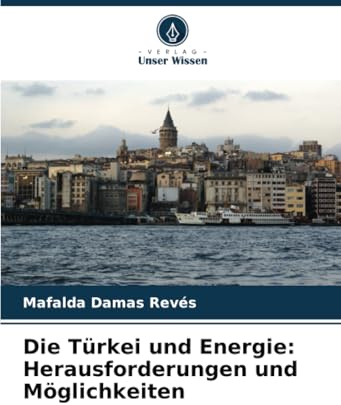 Die Türkei und Energie: Herausforderungen und Möglichkeiten