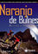 Naranjo del Bulnes: 5 vías a la cumbre (Guías de escalada)