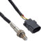 HELLA 6PA 009 166-841 Lambdasonde - 6-polig - vor Katalysator - Kabel: 800mm