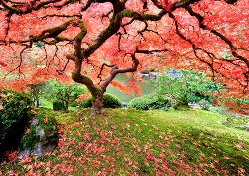 Peter Pauper Press Japanese Maple Tree 1000 Piece Jigsaw Puzzle, Red