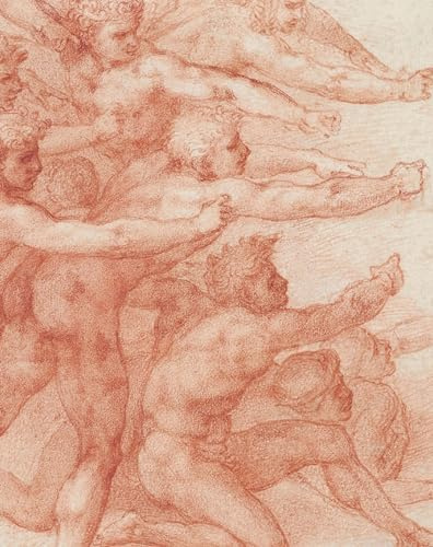 Michelangelo: Divine Draftsman and Designer (Metropolitan Museum of Art (MAA) (YUP))