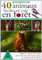Apprenez à observer 40 animaux faciles à voir en forêt : Toutes les astuces de terrain pour observer, saison par saison, les animaux de nos forêts