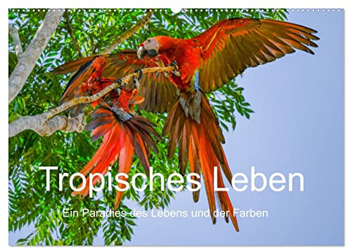 Tropisches Leben Ein Paradies des Lebens und der Farben (Wandkalender 2026 DIN A2 quer), CALVENDO Monatskalender: Eine vielfarbig Reise durch den ... vom Regenwald bis zum Ozean. (CALVENDO Orte)