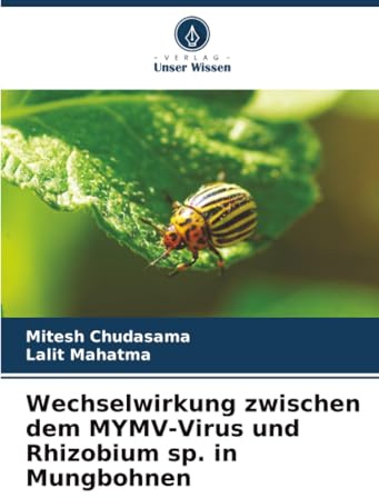 Wechselwirkung zwischen dem MYMV-Virus und Rhizobium sp. in Mungbohnen
