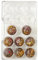 Decora 0050155 Stampo Professionale Cioccolatino Aurora, 14 Cavità, ø 33 x h 15 Mm, In Policarbonato, Ideale per Realizzare Cioccolatini Lucidi e Croccanti, Design Professionale, Made in Italy